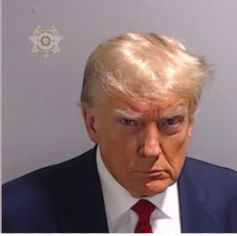 MAGA Impact Insider
